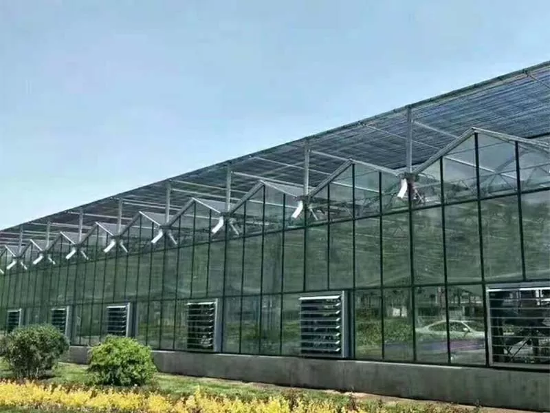 ¿Qué hace que Steel Vertical Farm sea el futuro de la agricultura sostenible?