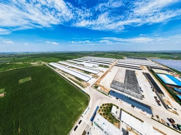 Planta de procesamiento de alimentos con estructura de acero