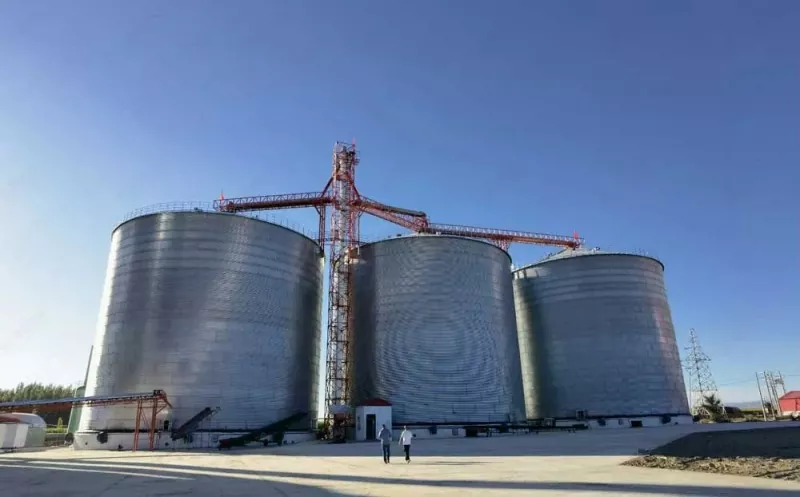 Silo de grano de estructura de acero Silo de grano de estructura de acero